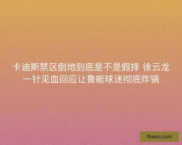 卡迪斯禁区倒地到底是不是假摔 徐云龙一针见血回应让鲁能球迷彻底炸锅