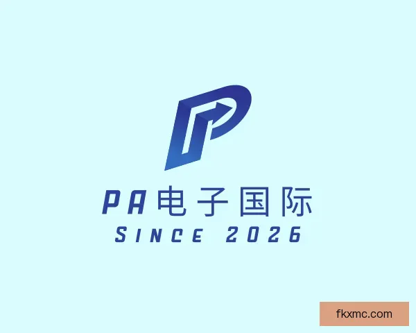 关于PA电子